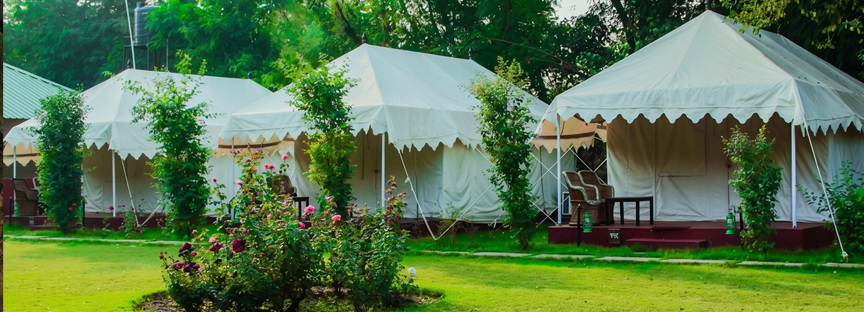 Wildlife Resort Ranthambore
