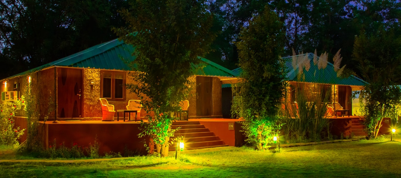 Jungle View Resort – Ranthambhore National Park – Jungle View Resort is ...